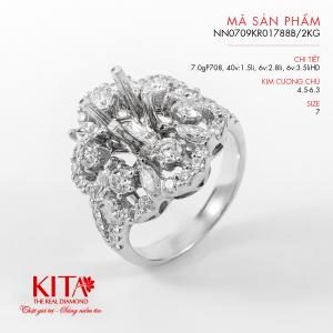 Vỏ Nhẫn Kim Cương Vàng Trắng